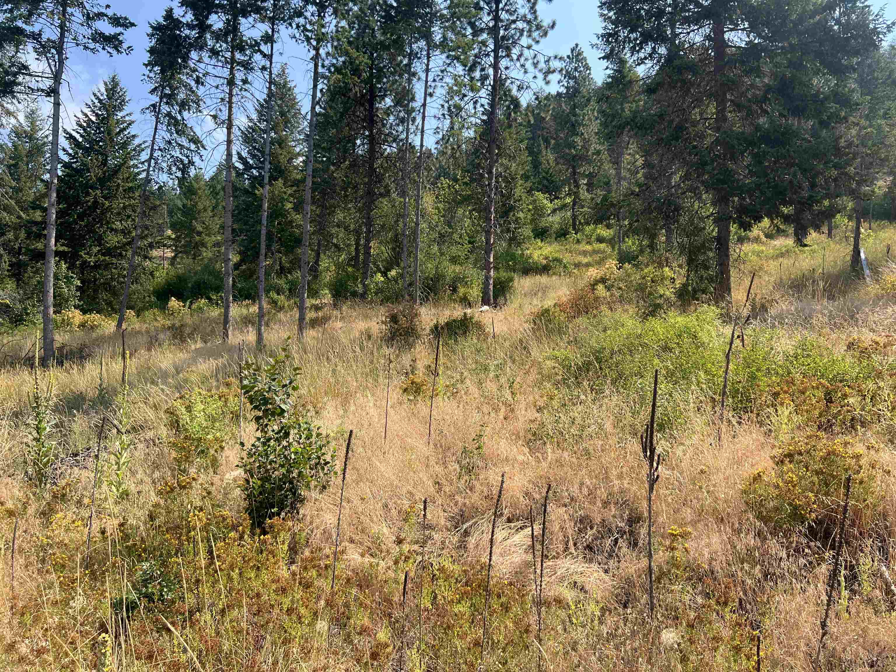 Tbd Highland Loop Road Kettle Falls, WA 99141 - Photo 11 of 12 Gallery Image 11