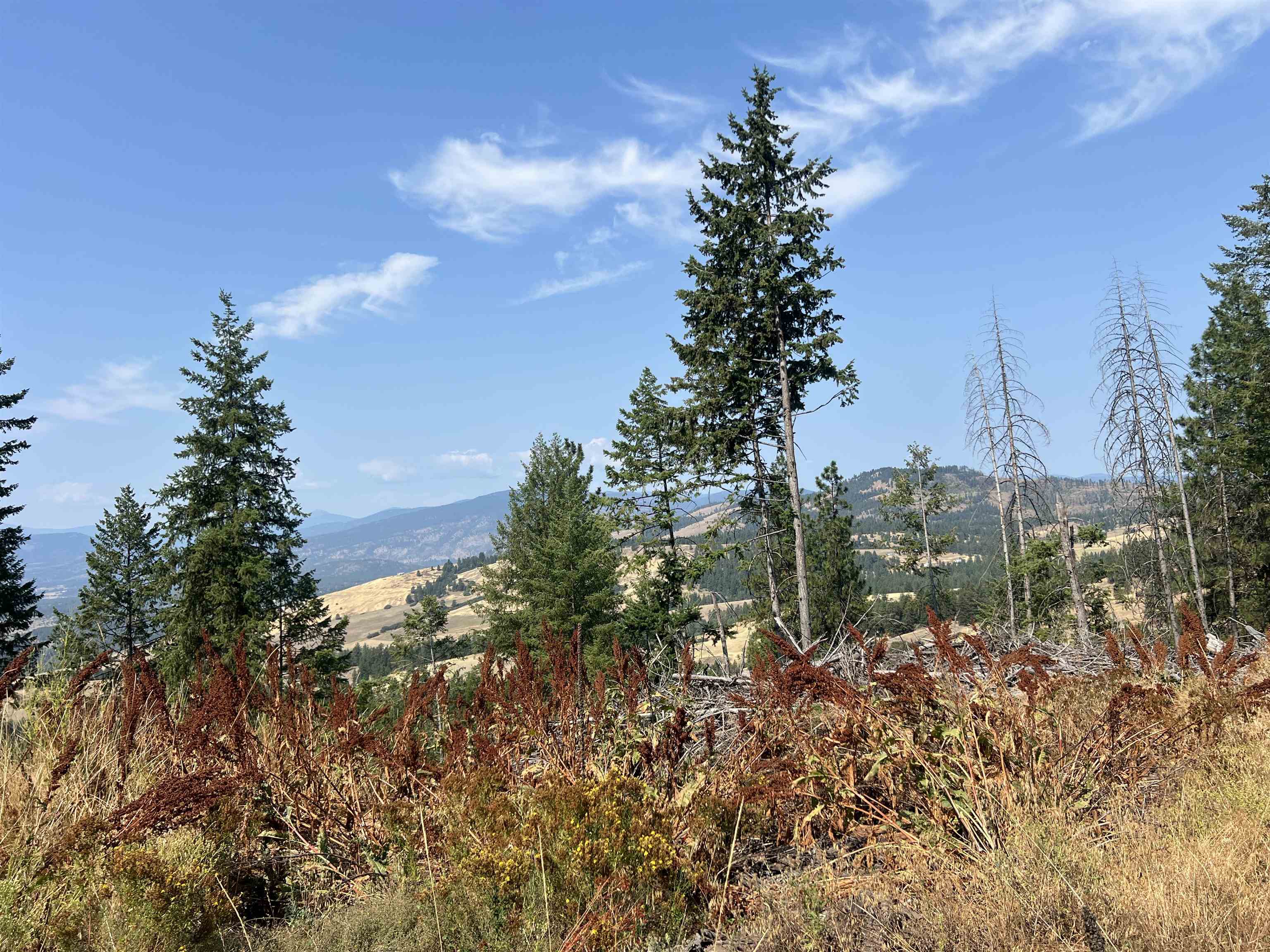 Tbd Highland Loop Road Kettle Falls, WA 99141 - Photo 2 of 12 Gallery Image 2
