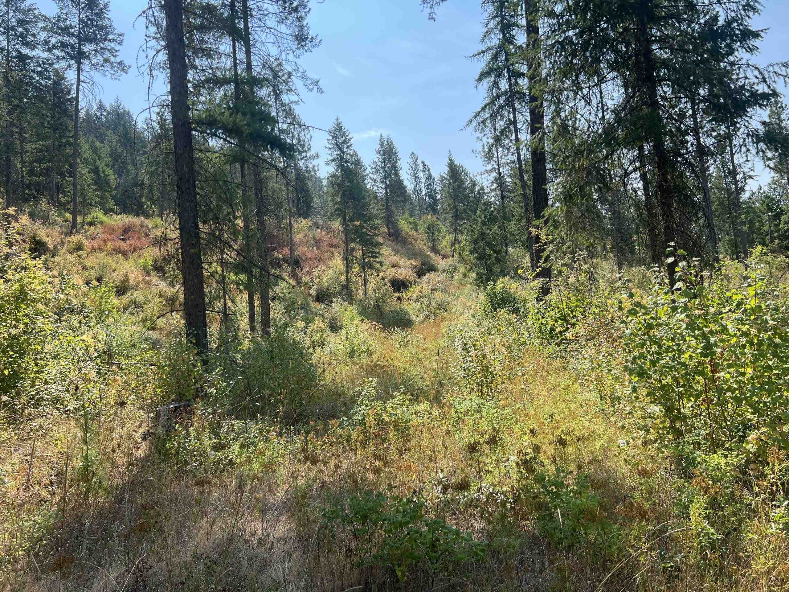 Tbd Highland Loop Road Kettle Falls, WA 99141 - Photo 3 of 12 Gallery Image 3