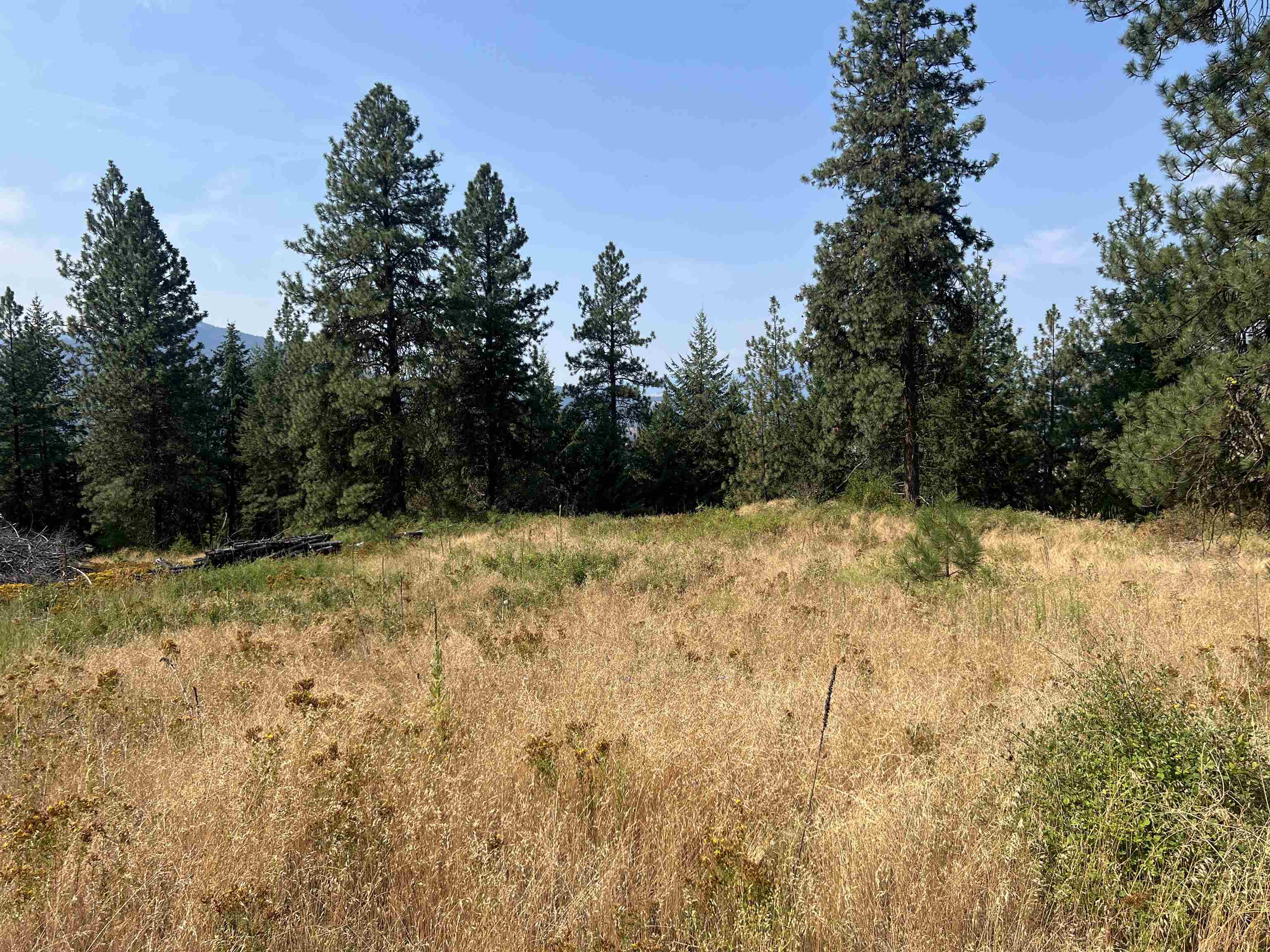 Tbd Highland Loop Road Kettle Falls, WA 99141 - Photo 4 of 12 Gallery Image 4