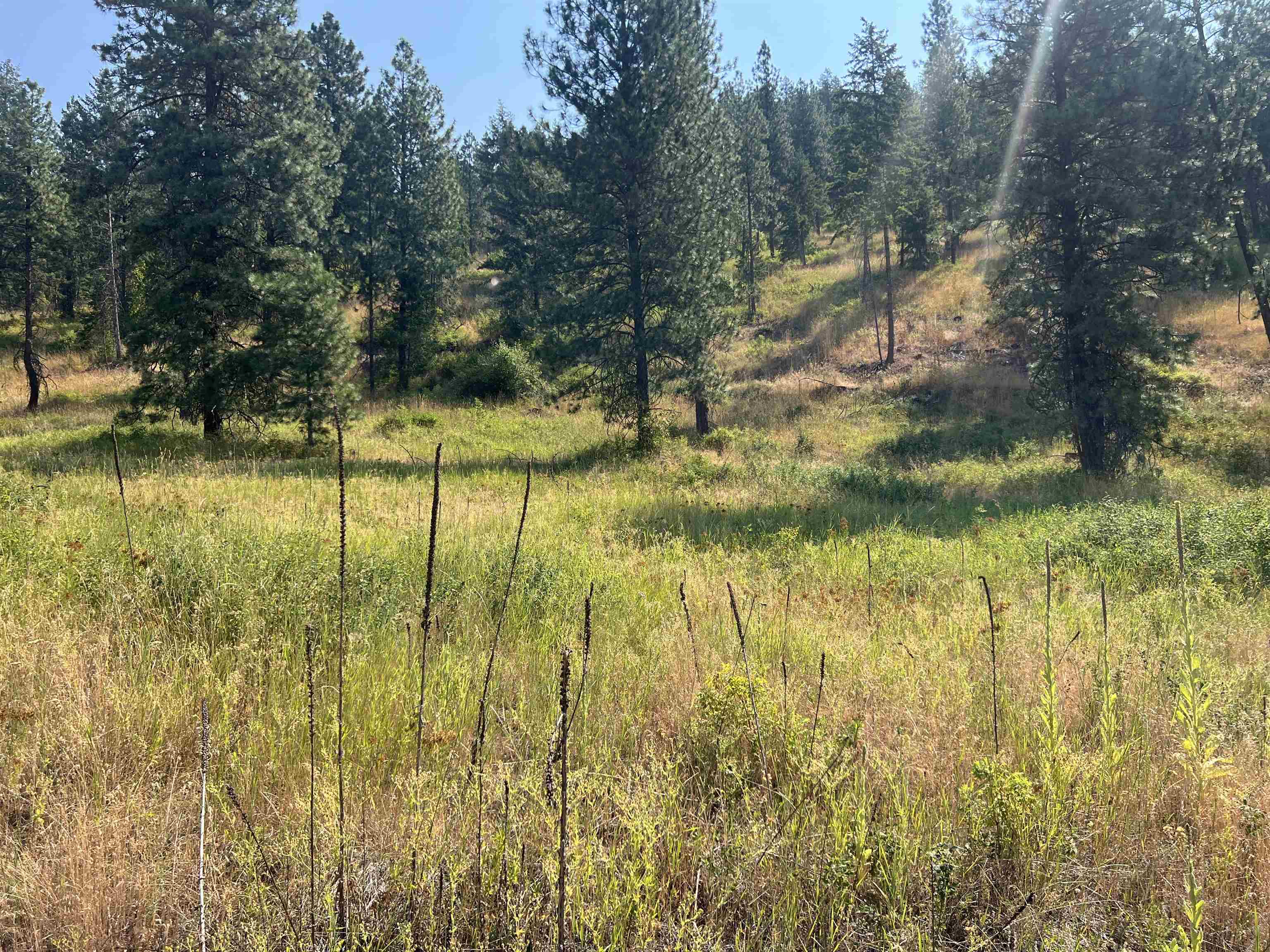 Tbd Highland Loop Road Kettle Falls, WA 99141 - Photo 5 of 12 Gallery Image 5