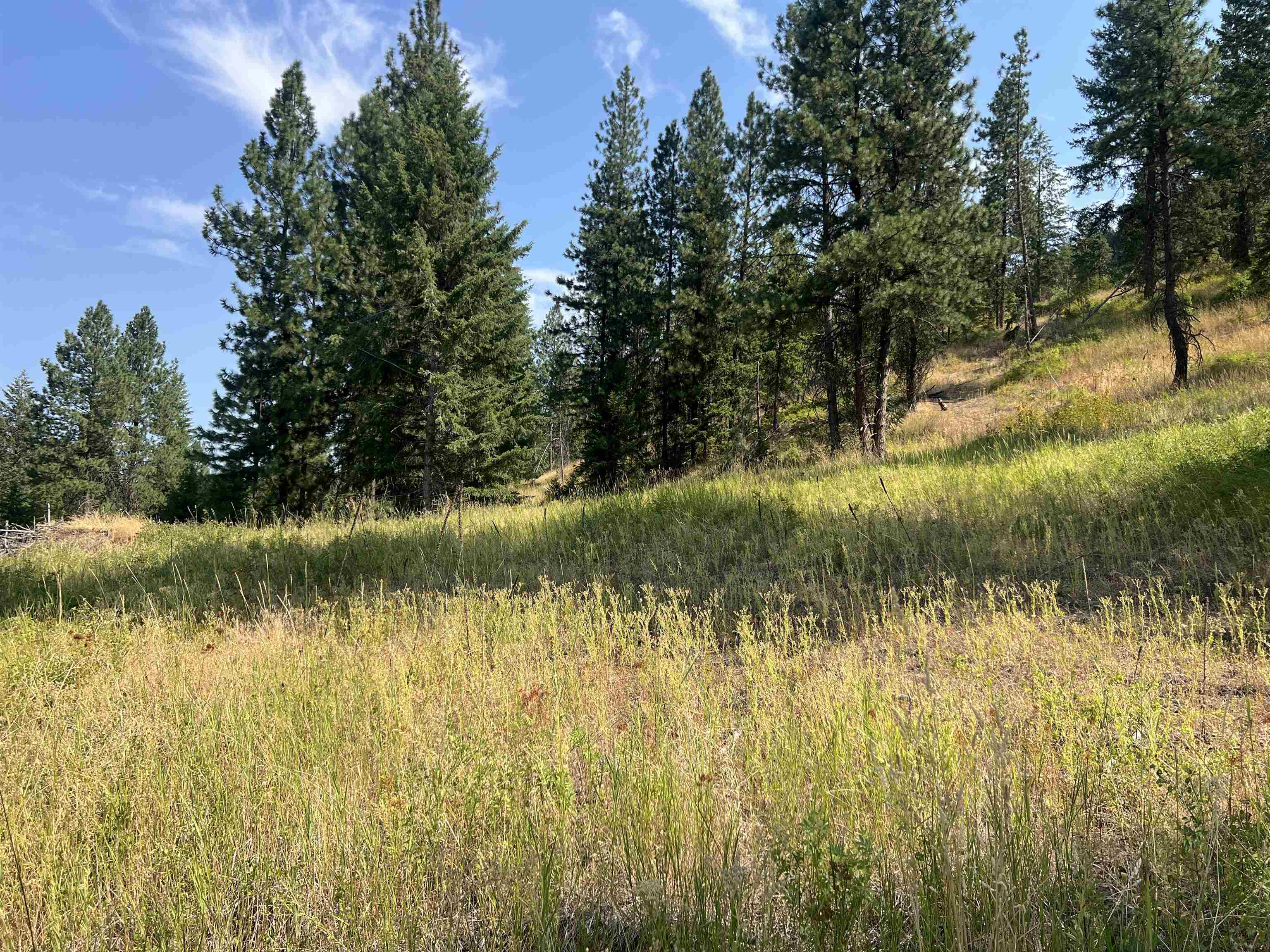 Tbd Highland Loop Road Kettle Falls, WA 99141 - Photo 6 of 12 Gallery Image 6