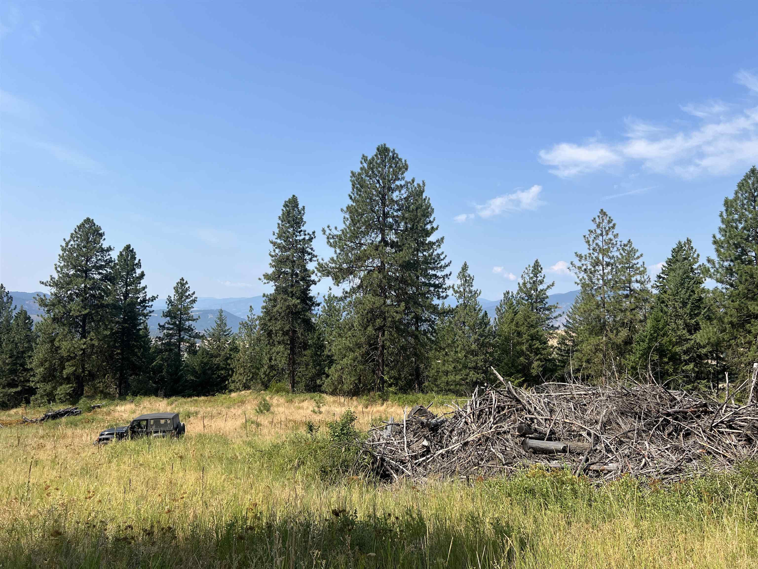 Tbd Highland Loop Road Kettle Falls, WA 99141 - Photo 7 of 12 Gallery Image 7