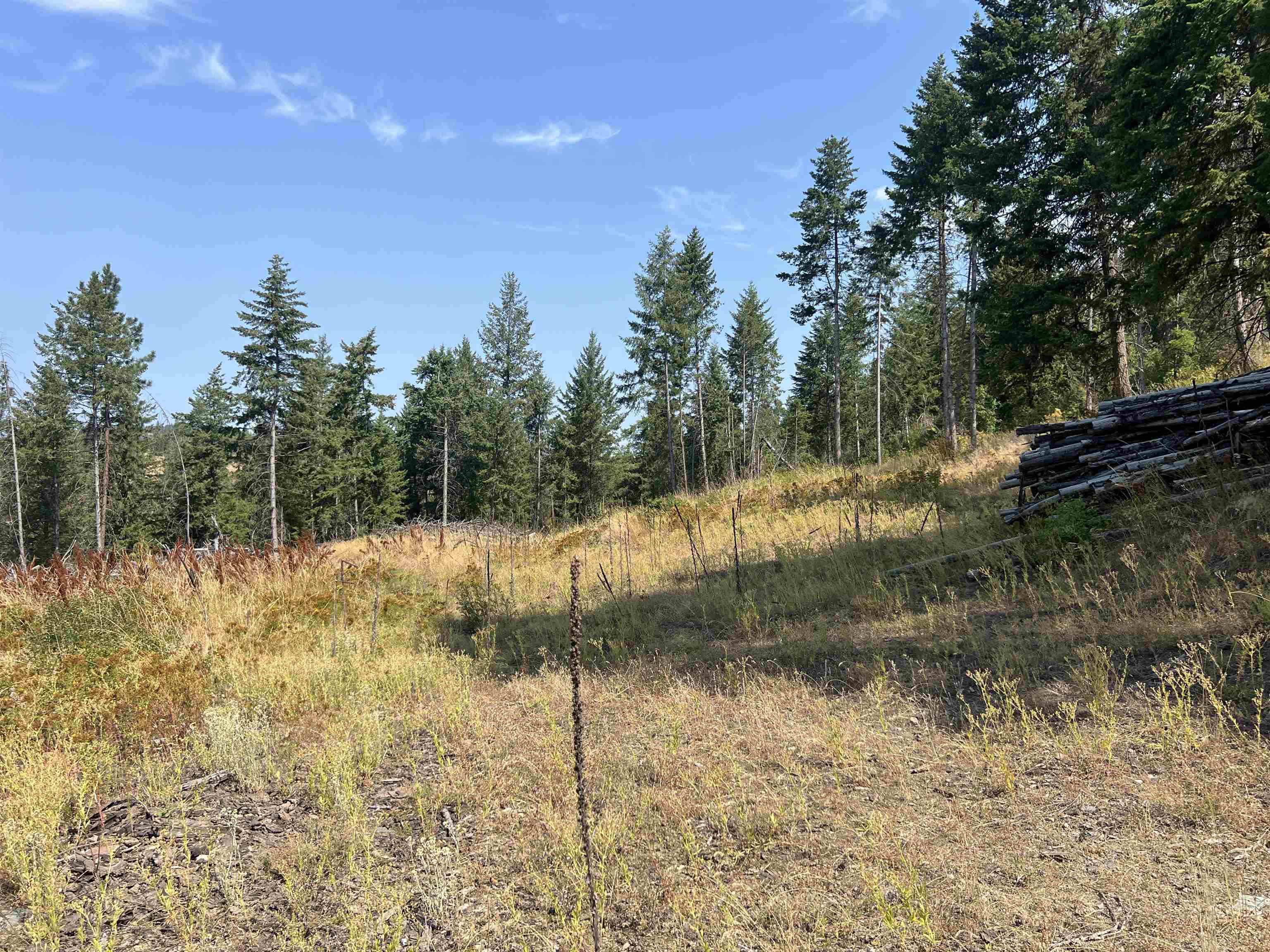 Tbd Highland Loop Road Kettle Falls, WA 99141 - Photo 9 of 12 Gallery Image 9