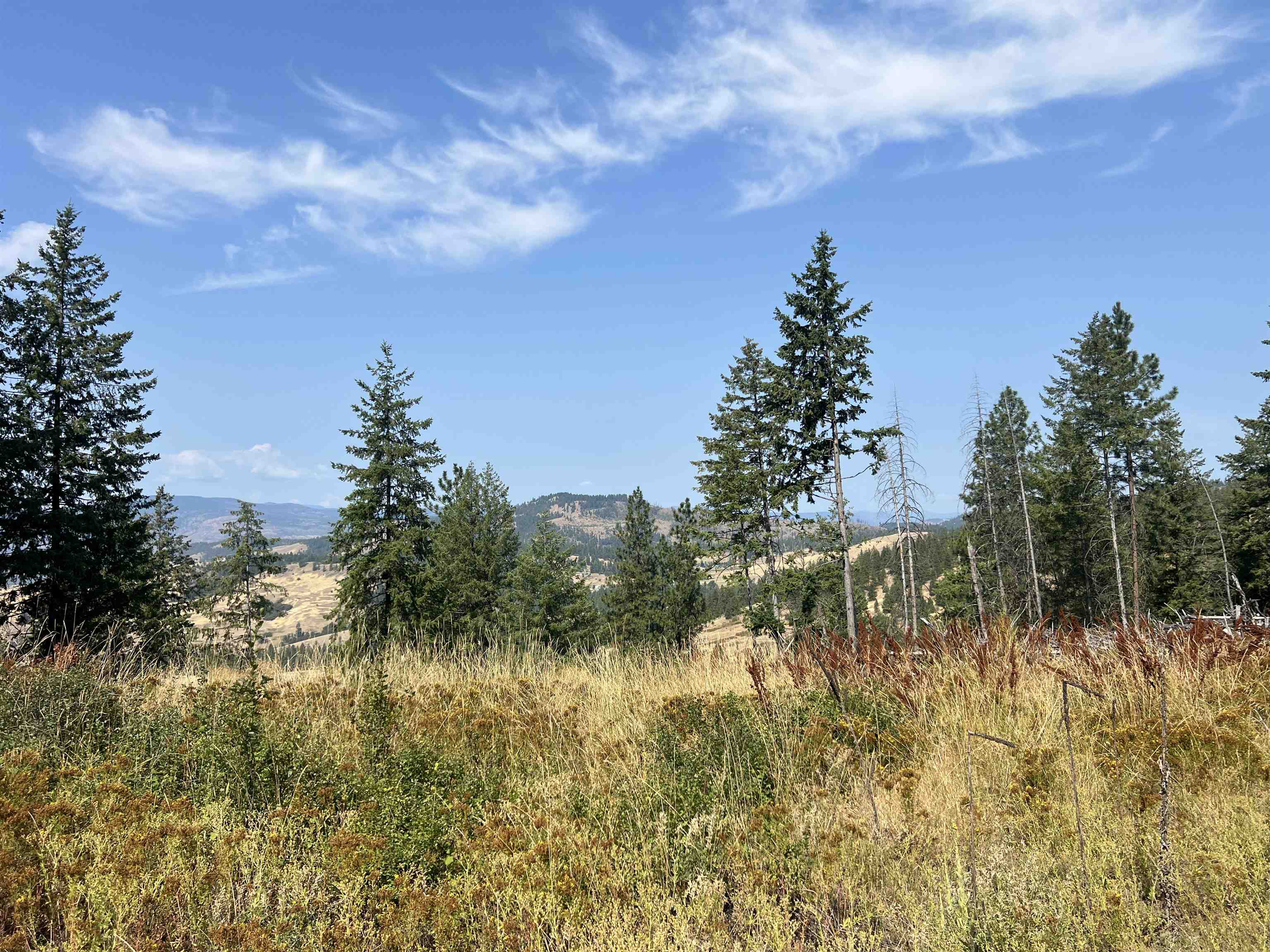 Tbd Highland Loop Road Kettle Falls, WA 99141 - Photo 10 of 12 Gallery Image 10