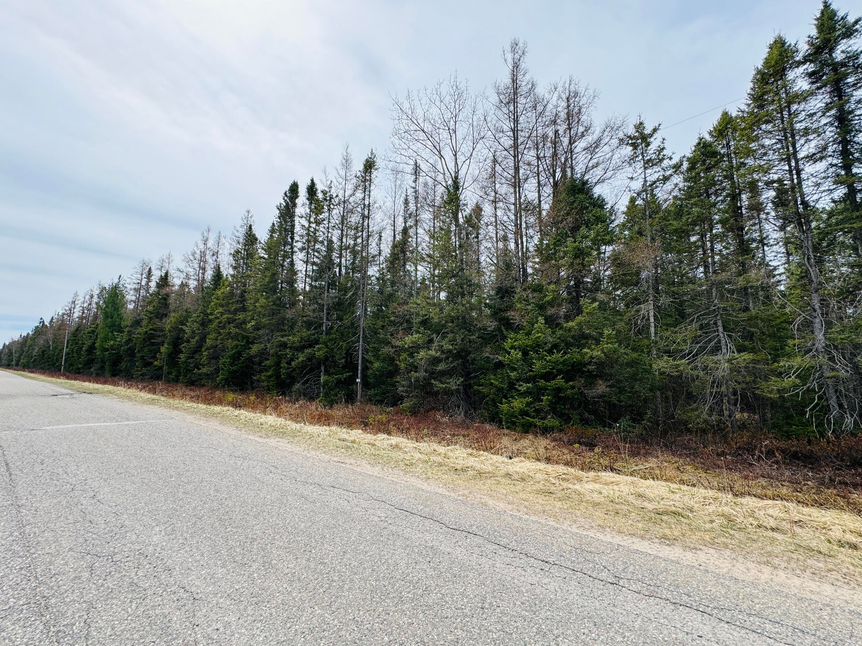 0 South Ojala Road Brimley, MI 49715 - Photo 45 of 48 Gallery Image 45
