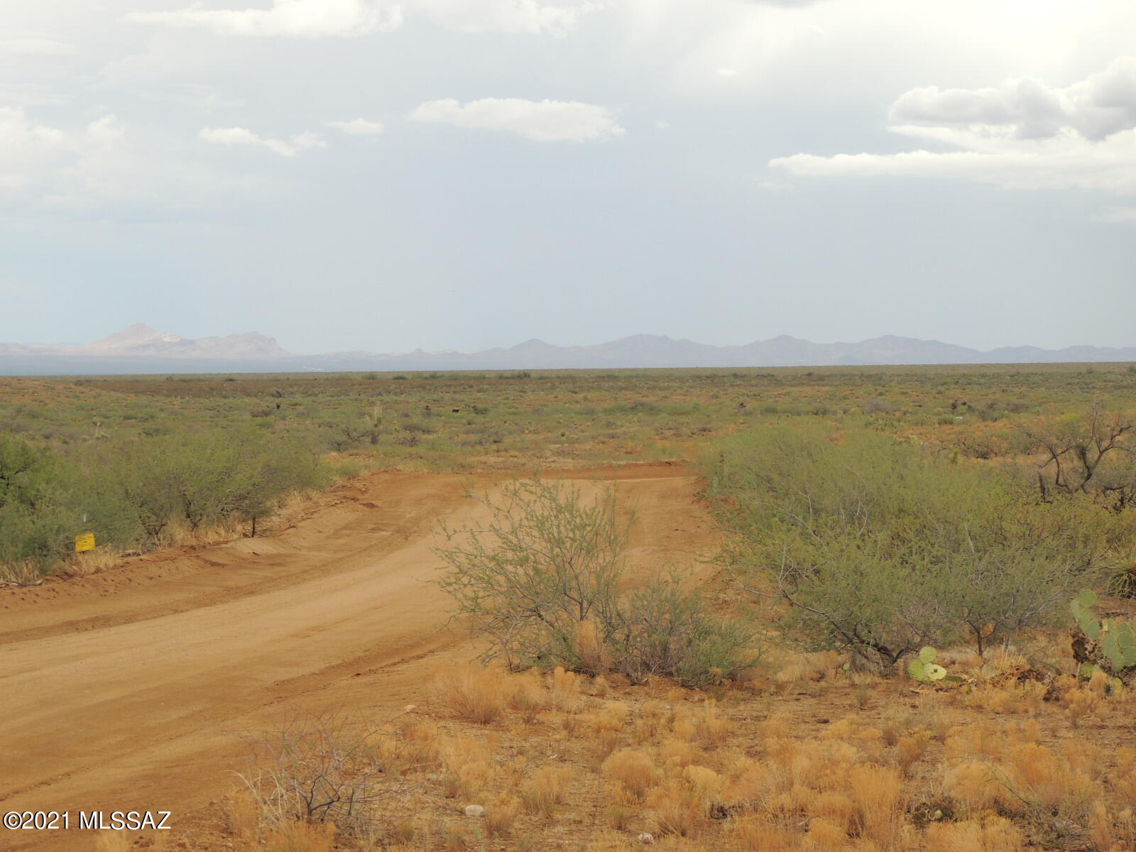 40.82 Acres Mulkins Ranch Road, Unit 11 Bowie, AZ 85605 - Photo 16 of 17