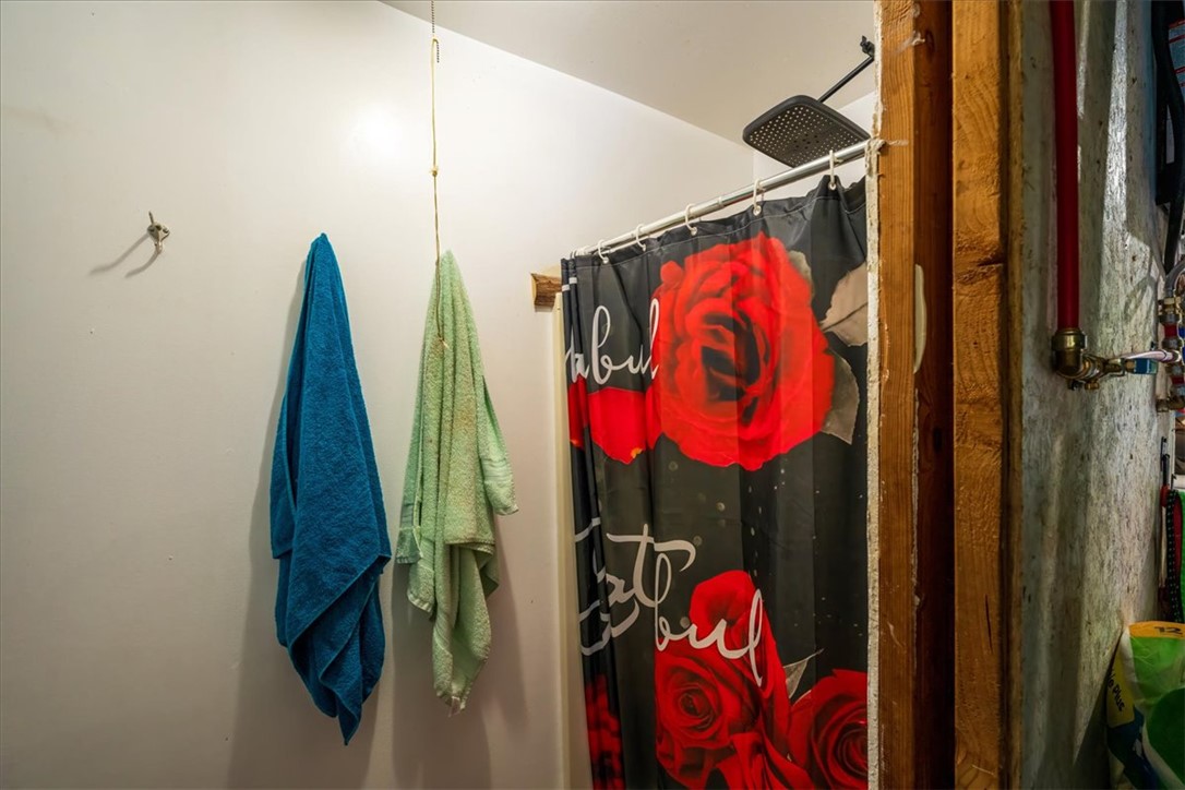 930 Nimmons Bridge Road Salem, SC 29676 - Photo 8 of 19 This bathroom features a contemporary shower fixture, providing essential amenities.