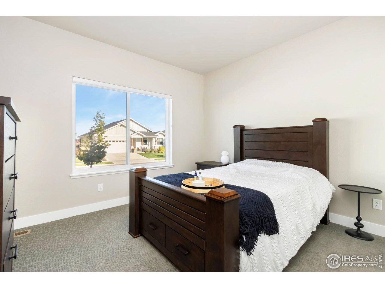 6709 Stone Point Drive Timnath, CO 80547 - Photo 22 of 41 a bedroom with a bed and a window