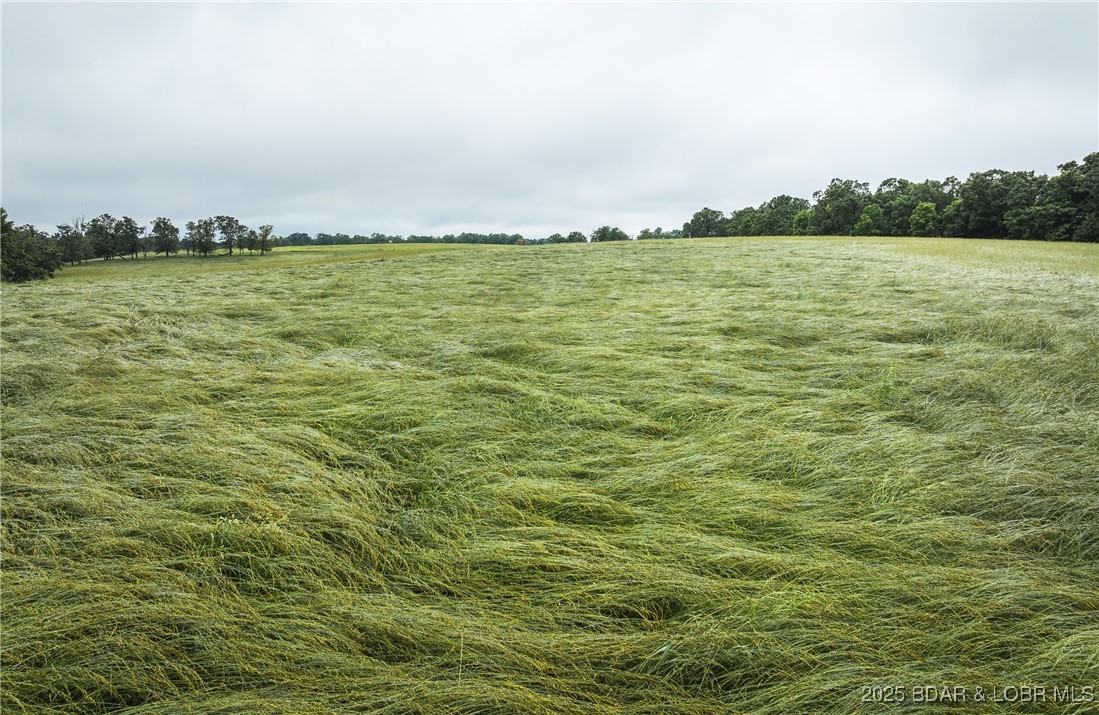 2 Farm Road Crane, MO 65633 - Photo 13 of 33
