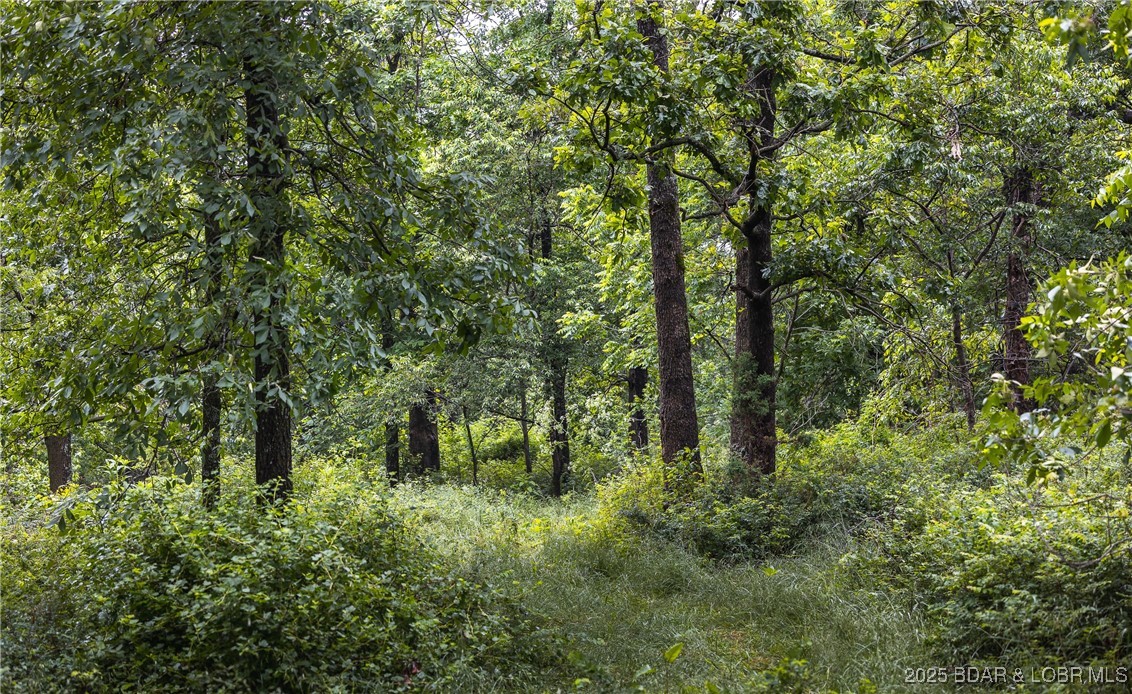2 Farm Road Crane, MO 65633 - Photo 26 of 33
