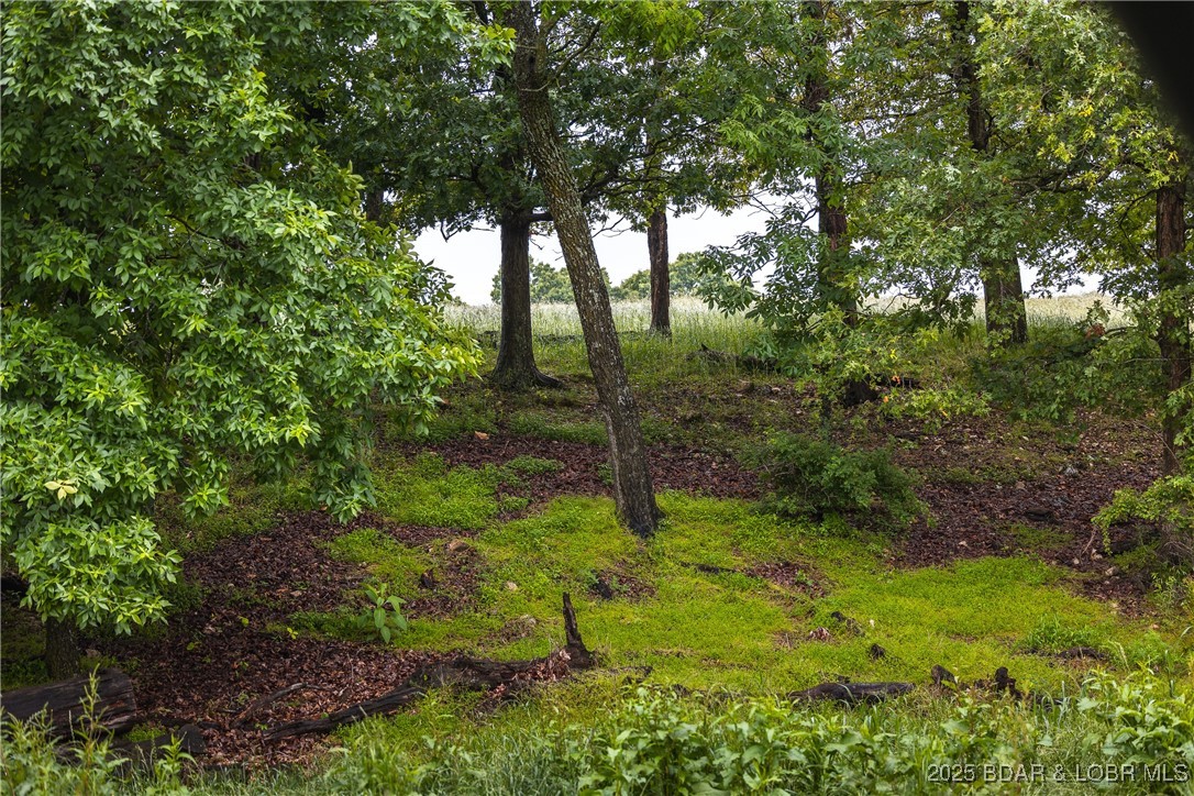 2 Farm Road Crane, MO 65633 - Photo 27 of 33