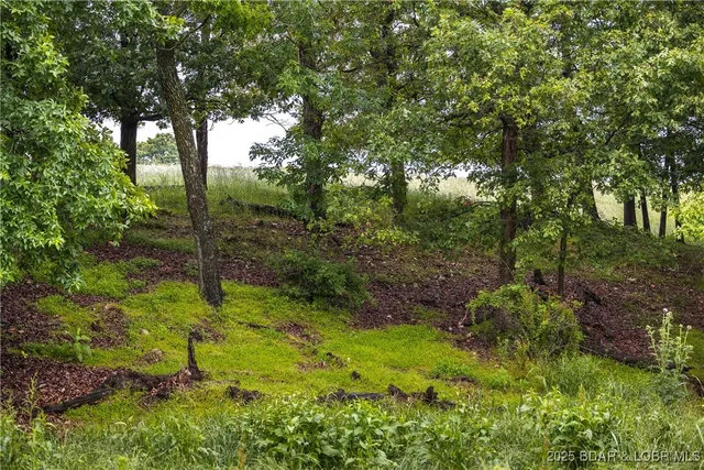 $675,000 | 2 Farm Road, Crane, MO 65633