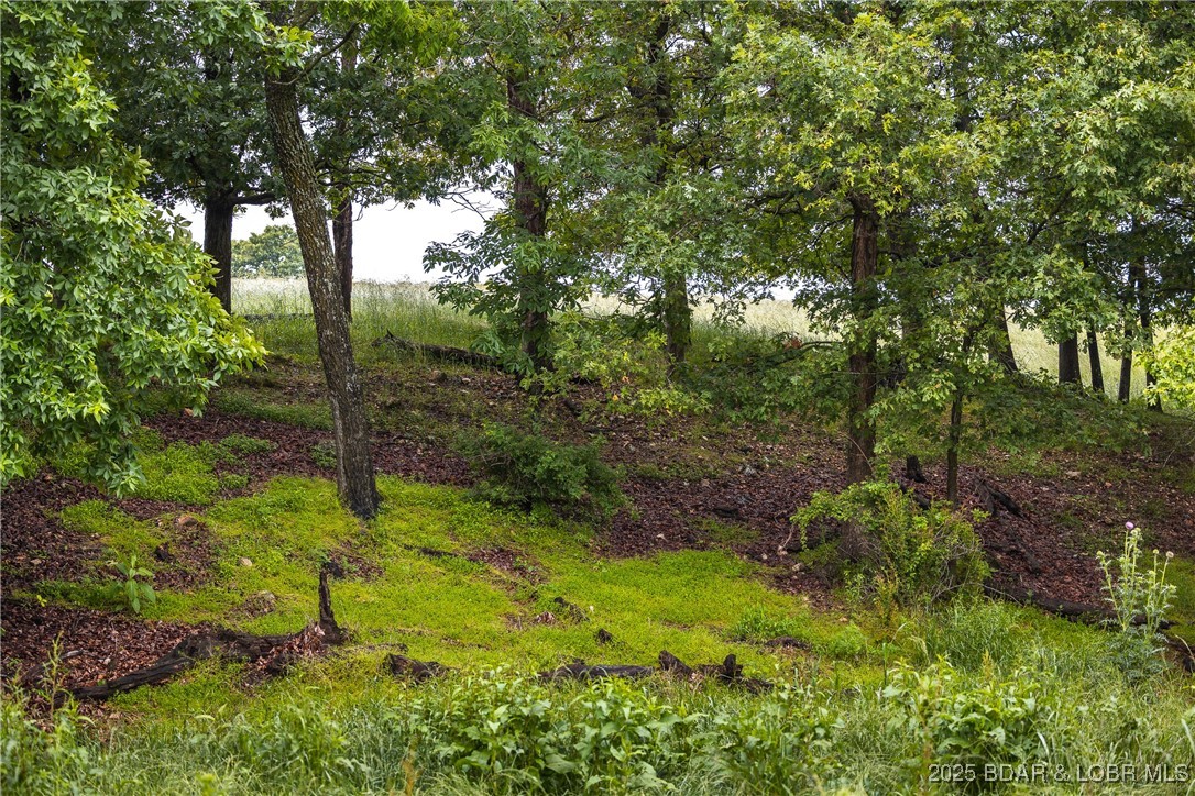 2 Farm Road Crane, MO 65633 - Photo 29 of 33