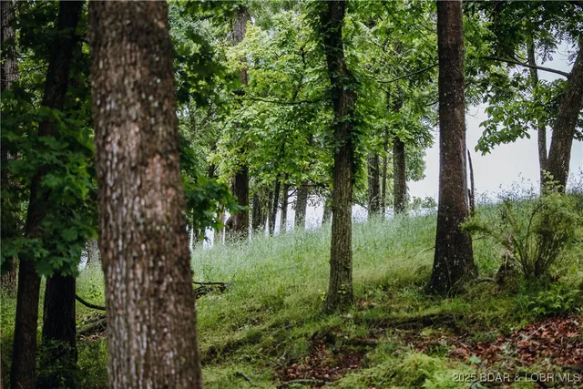 $675,000 | 2 Farm Road, Crane, MO 65633