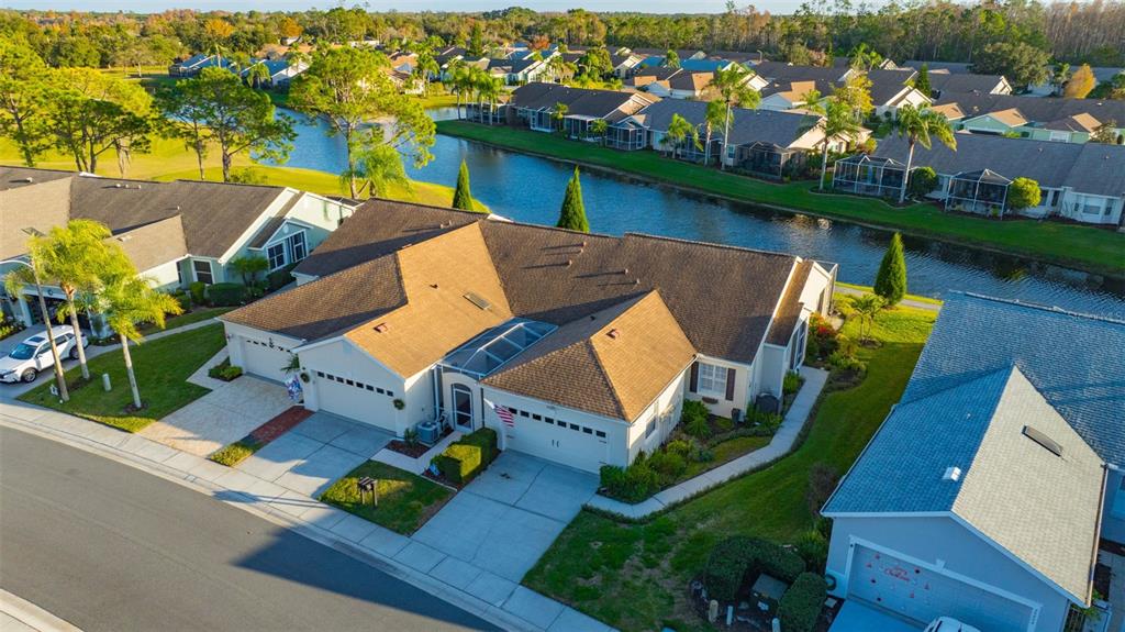 20804 Eustis Road Land O Lakes, FL 34637 - Photo 37 of 65