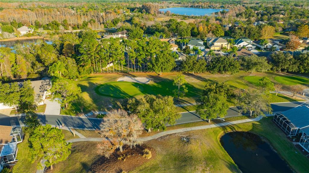 20804 Eustis Road Land O Lakes, FL 34637 - Photo 45 of 65