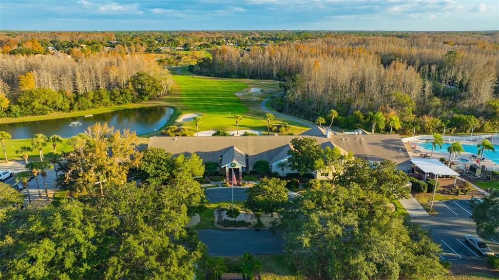 20804 Eustis Road Land O Lakes, FL 34637 - Photo 46 of 65