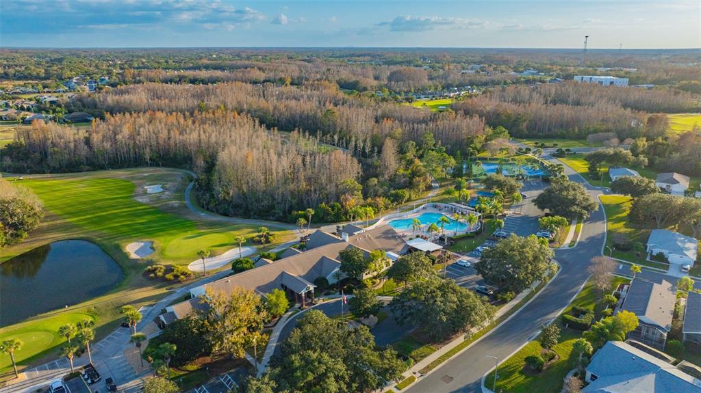 20804 Eustis Road Land O Lakes, FL 34637 - Photo 48 of 65