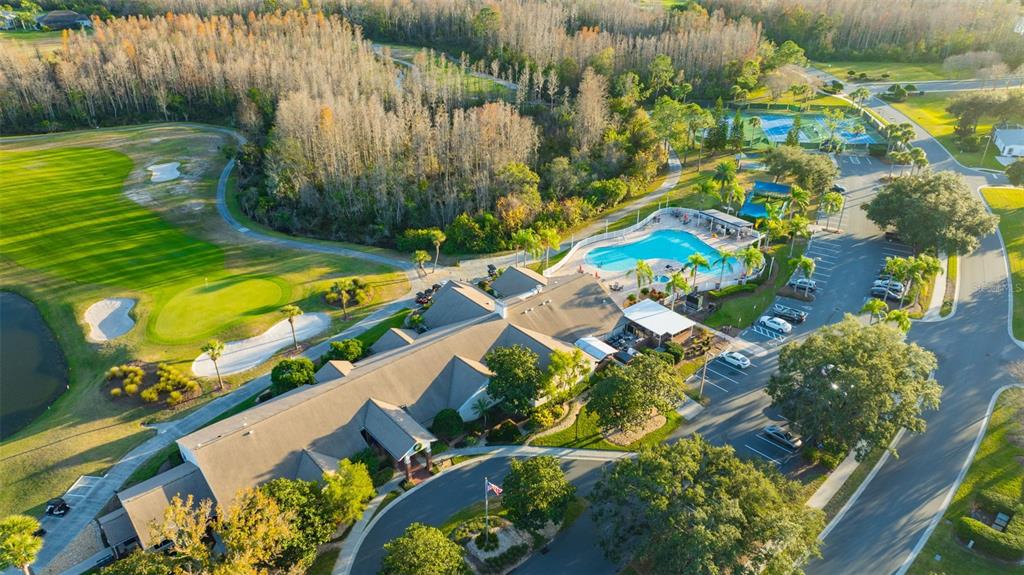 20804 Eustis Road Land O Lakes, FL 34637 - Photo 49 of 65