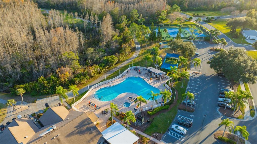 20804 Eustis Road Land O Lakes, FL 34637 - Photo 50 of 65