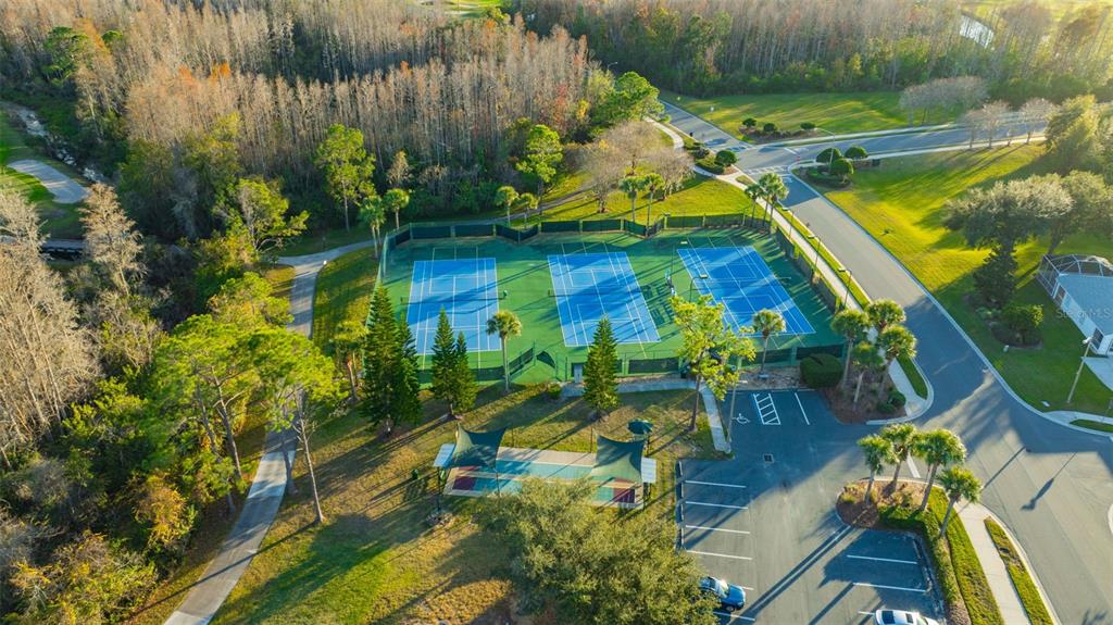 20804 Eustis Road Land O Lakes, FL 34637 - Photo 52 of 65