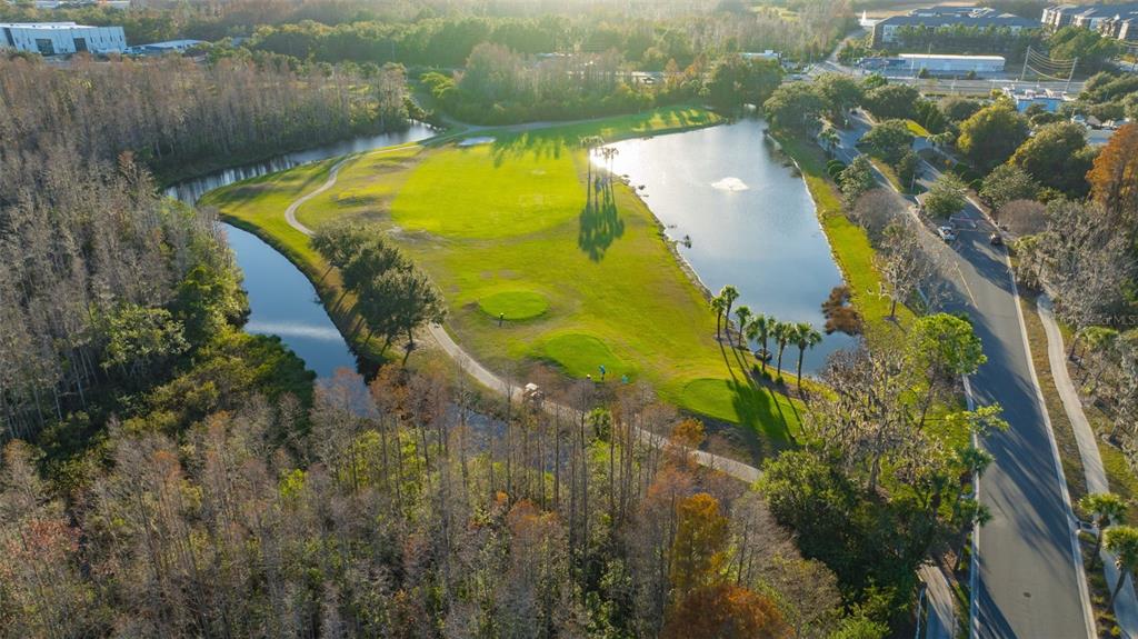 20804 Eustis Road Land O Lakes, FL 34637 - Photo 53 of 65