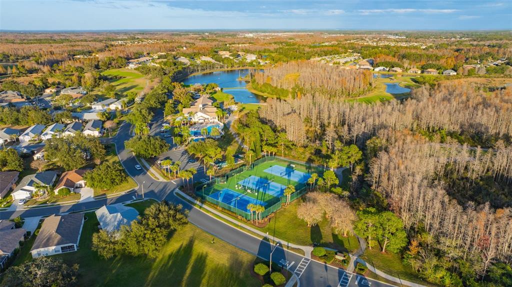 20804 Eustis Road Land O Lakes, FL 34637 - Photo 54 of 65