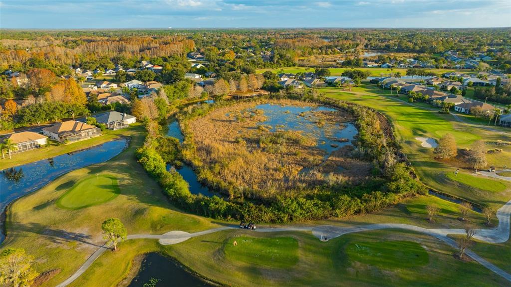 20804 Eustis Road Land O Lakes, FL 34637 - Photo 59 of 65