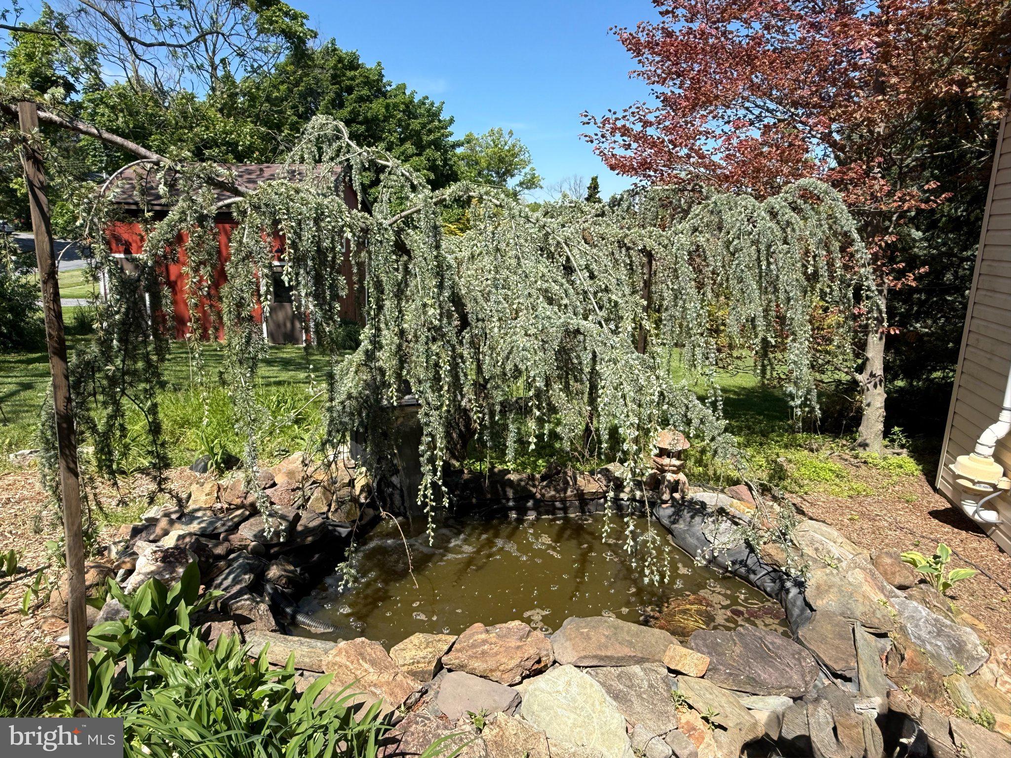 301 Ebenezer Road Lebanon, PA 17046 - Photo 30 of 37 Tranquil pond beneath a weeping tree.