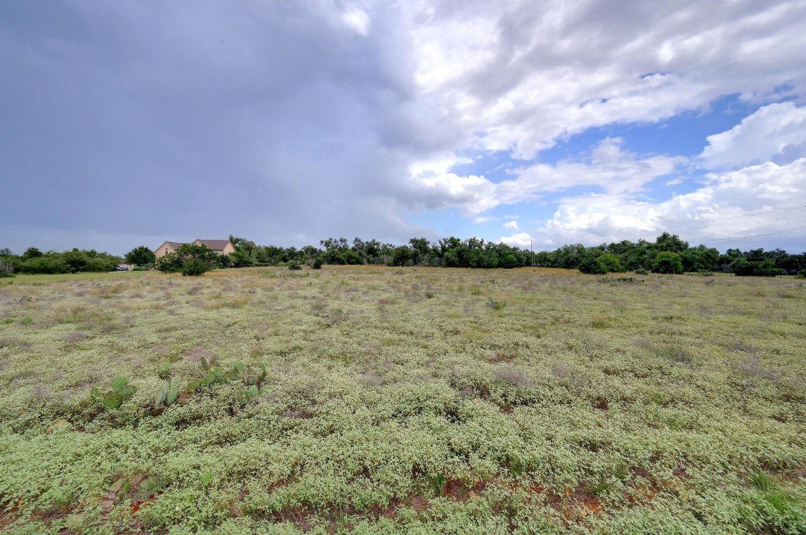 Tbd Cascade Trail San Marcos, TX 78666 - Photo 6 of 14 a view of a lake in middle of the forest
