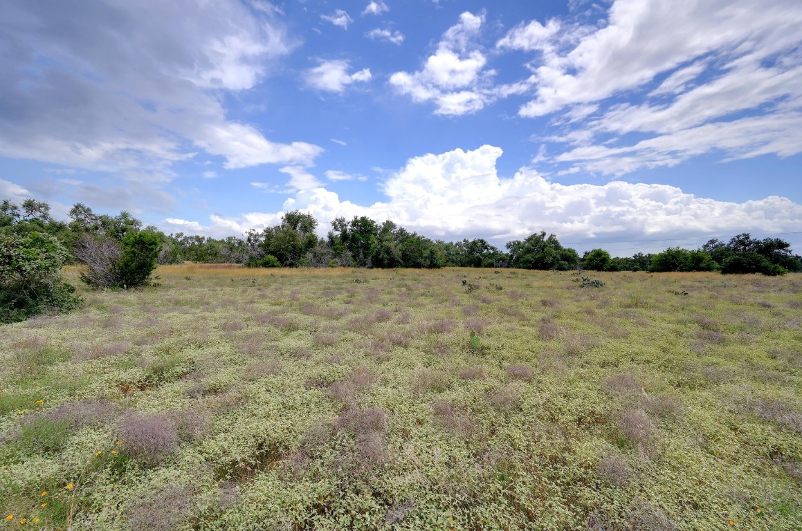 Tbd Cascade Trail San Marcos, TX 78666 - Photo 7 of 14
