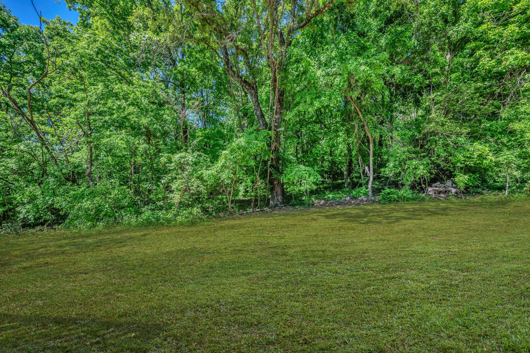 317 Lewis Hollow Road Dickson, TN 37055 - Photo 30 of 30