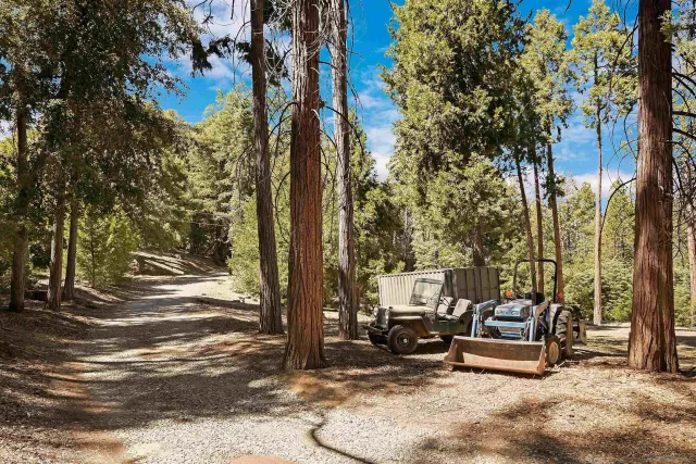 a view of a park that has a tree on the road