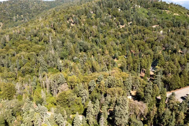 a view of a lush green hillside and houses
