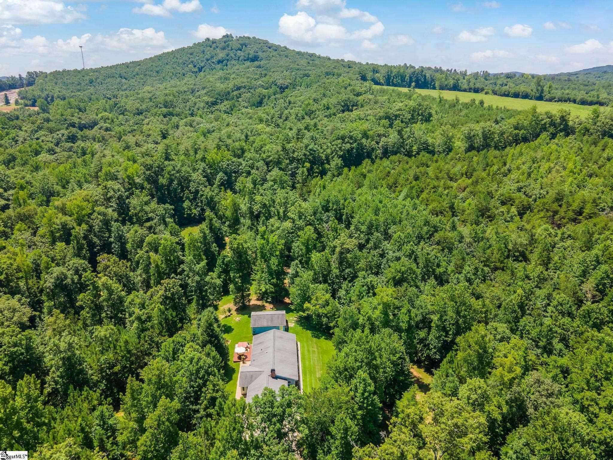 1318 Earls Bridge Road Easley, SC 29640 - Photo 31 of 34