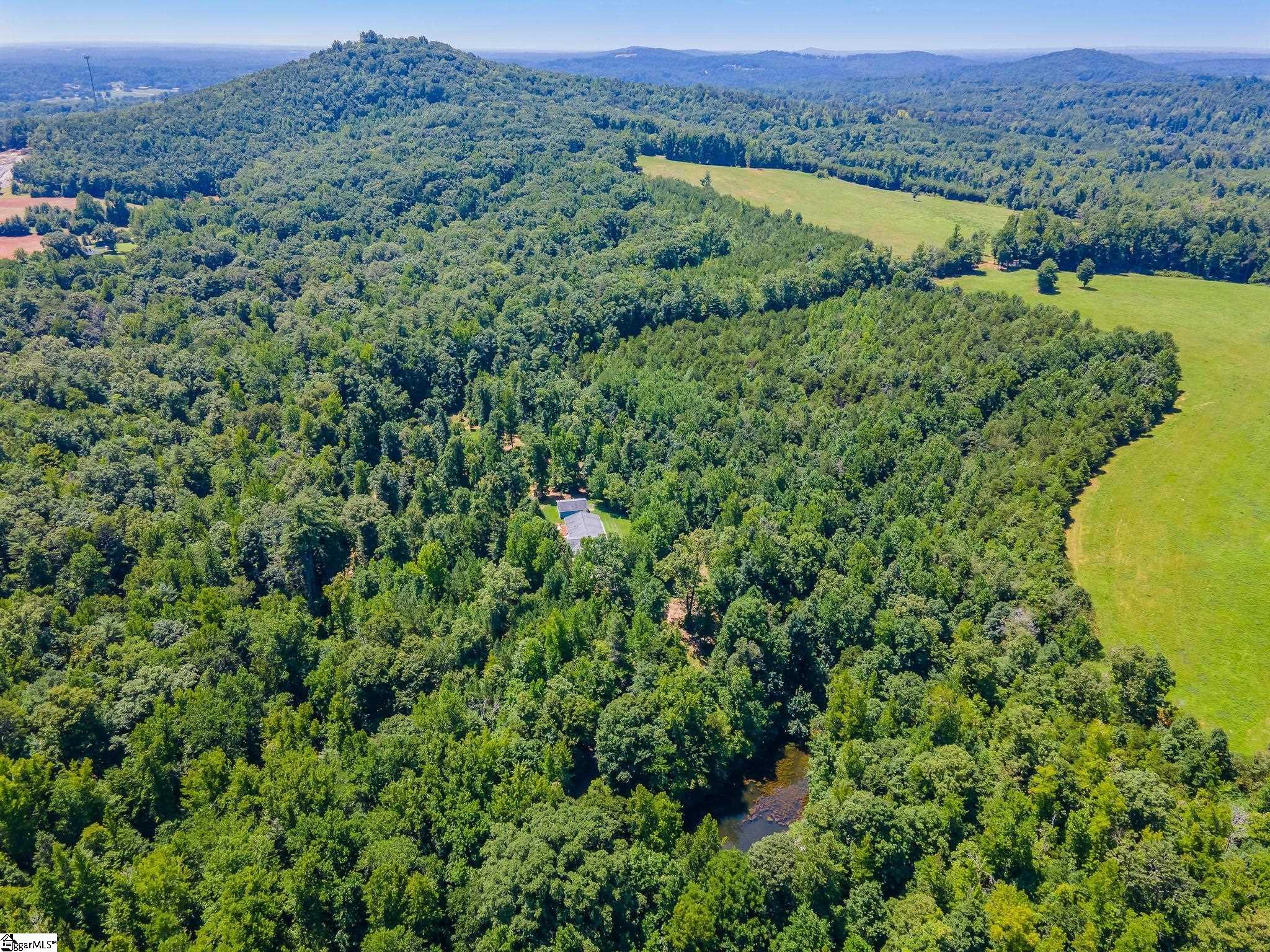 1318 Earls Bridge Road Easley, SC 29640 - Photo 32 of 34