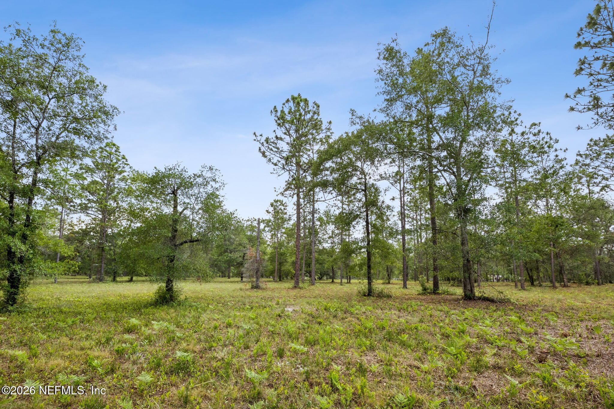 6015 Plantation Court Keystone Heights, FL 32656 - Photo 4 of 16 7-web-or-mls-6015 Plantation Ct-7