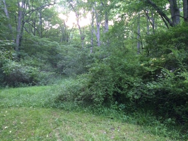 6970 East St Road Bloomington, IN 47401 - Photo 2 of 32 Gallery Image 2