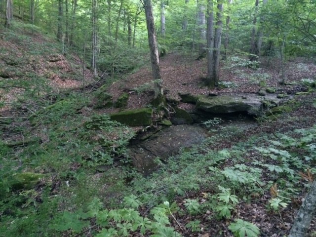 6970 East St Road Bloomington, IN 47401 - Photo 29 of 32 Gallery Image 29