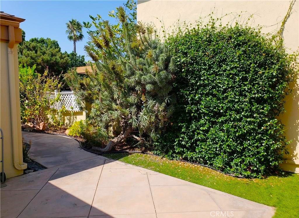 81 Seton Road Irvine, CA 92612 - Photo 6 of 21 Walkway to front gate