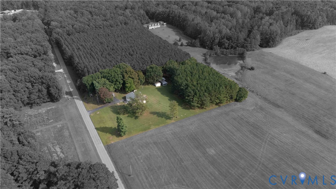 288 Daniel Road Blackstone, VA 23824 - Photo 2 of 38 Bird's eye view of a forest