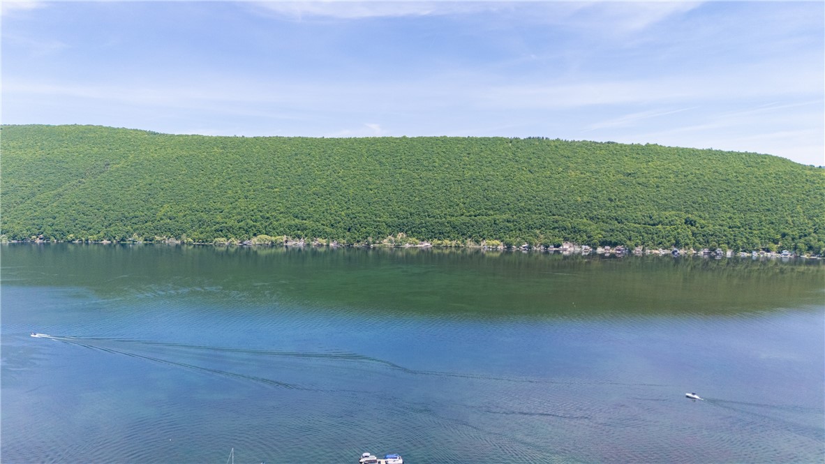 7113 State Rte 21 South Bristol, NY 14512 - Photo 13 of 47 Rare water level 62' frontage with the most amazin