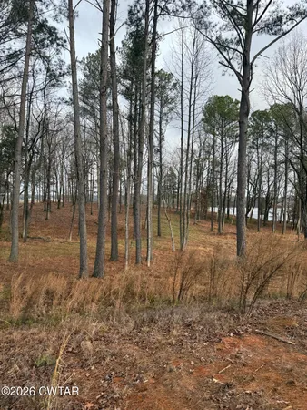 a view of outdoor space with lots of trees