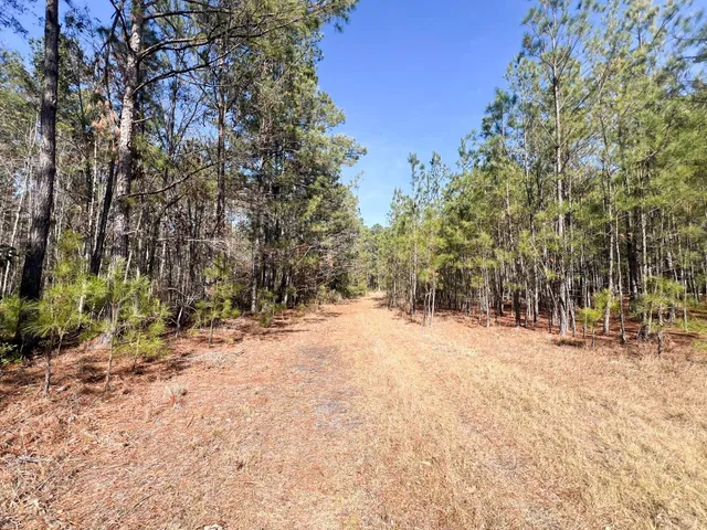 $225,000 | 1014 Iler Road, Pembroke, GA 31321