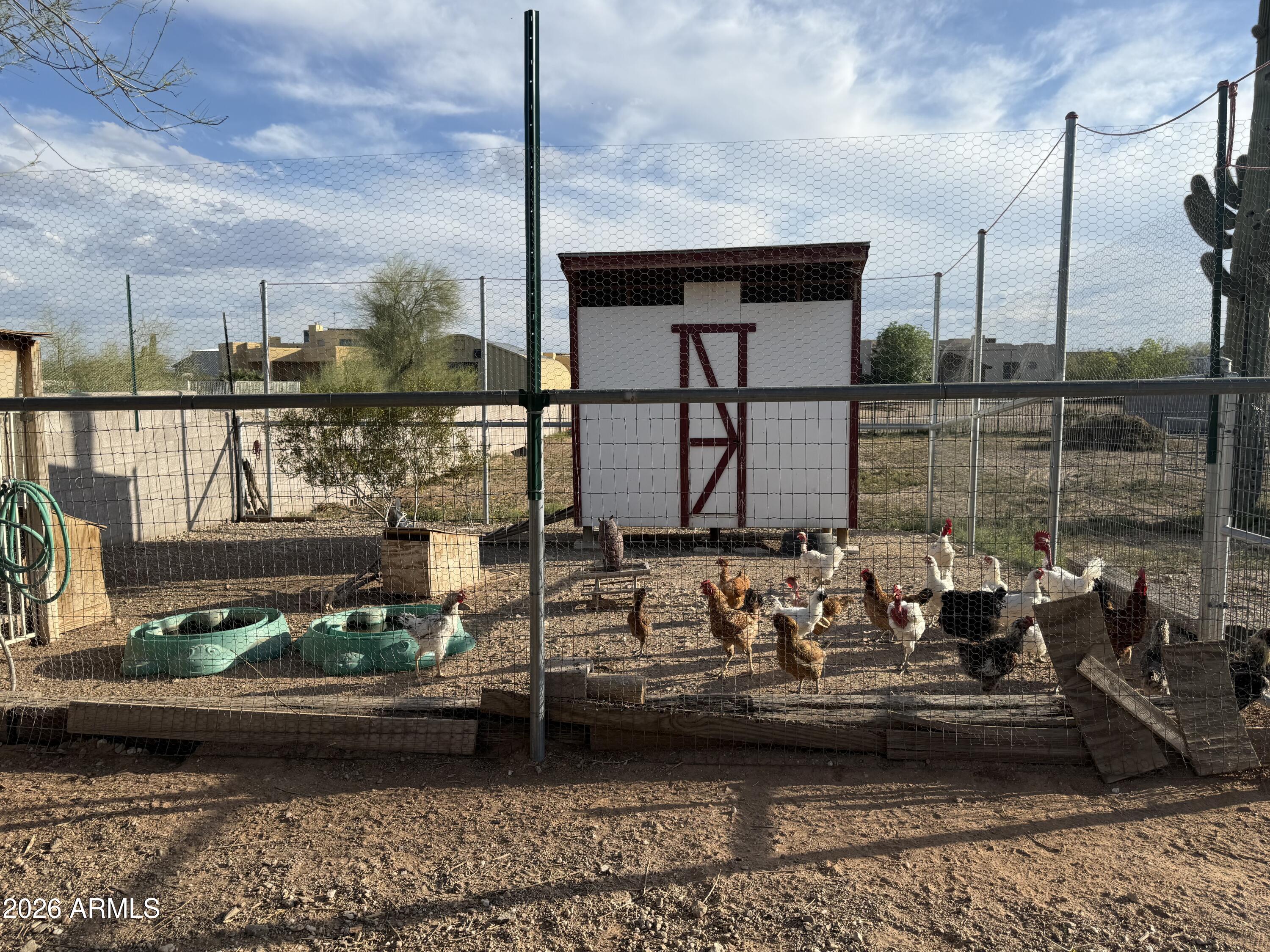 2569 West Silverdale Road San Tan Valley, AZ 85144 - Photo 56 of 61 IMG_2139