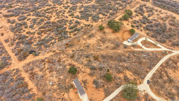 a view of a yard