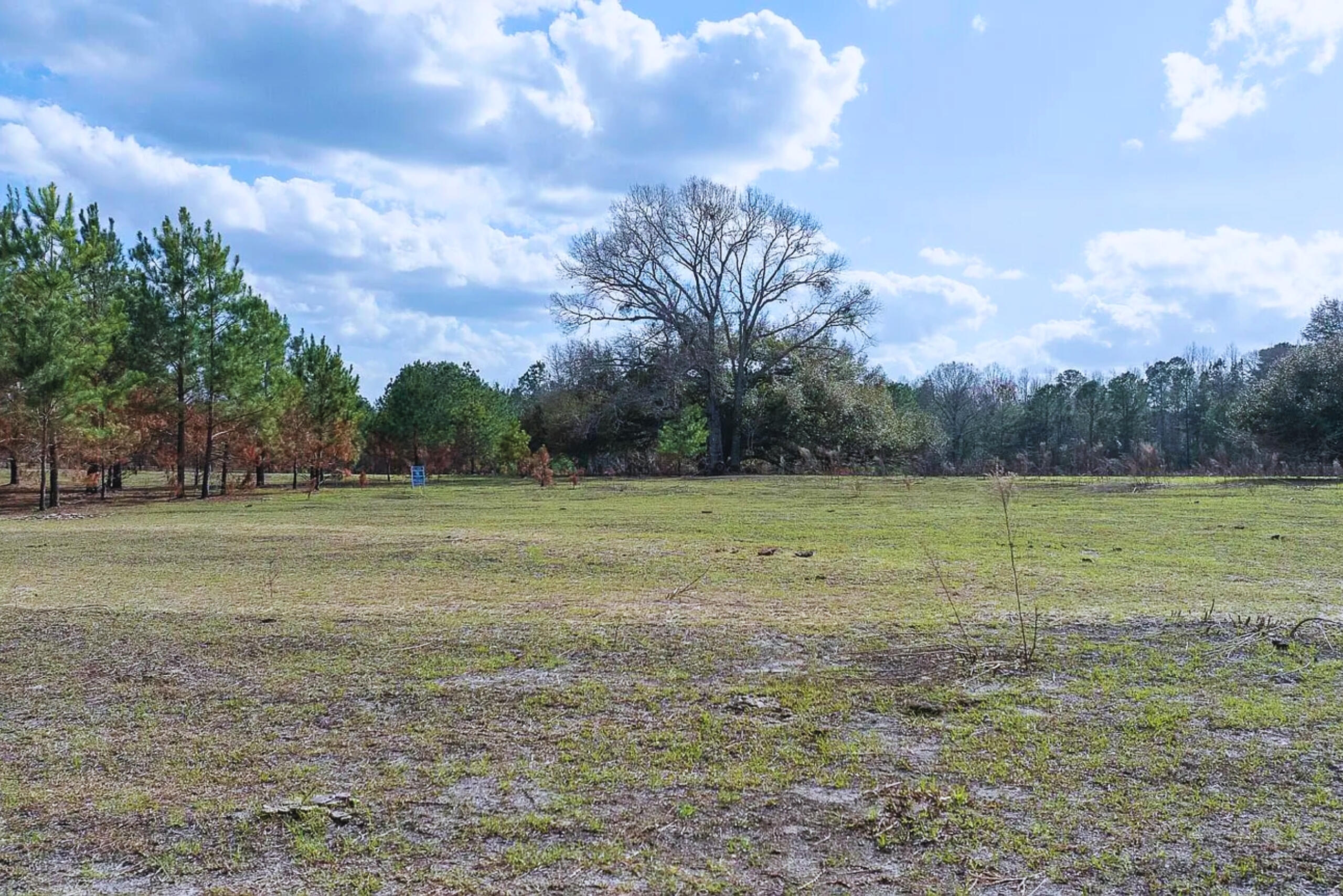 5 Pompey Road Manning, SC 29102 - Photo 1 of 34