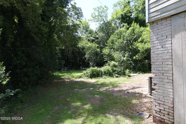 a view of a yard with plants and large trees