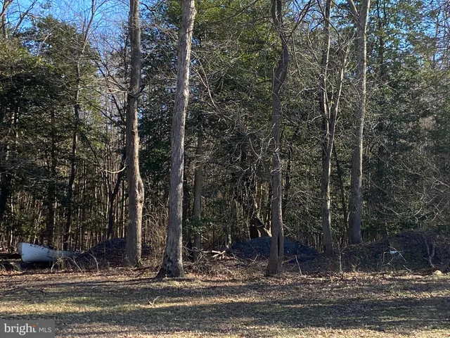 $69,900 | Lot 1 Pear Tree Road, Millsboro, DE 19966